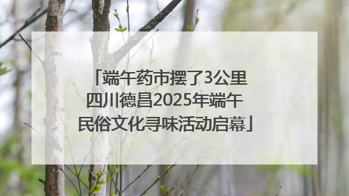 端午药市摆了3公里 四川德昌2025年端午民俗文化寻味活动启幕
