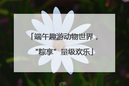 端午趣游动物世界，“粽享”量级欢乐