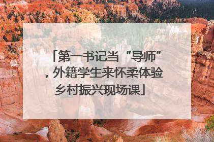 第一书记当“导师”，外籍学生来怀柔体验乡村振兴现场课