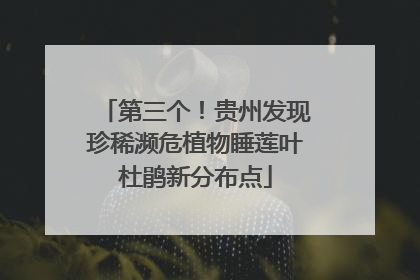 第三个！贵州发现珍稀濒危植物睡莲叶杜鹃新分布点