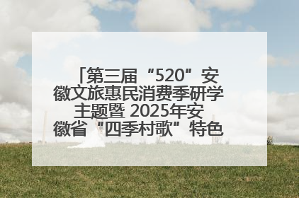 第三届“520”安徽文旅惠民消费季研学主题暨 2025年安徽省“四季村歌”特色展演燃动池州