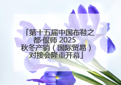 第十五届中国布鞋之都·偃师 2025 秋冬产销（国际贸易）对接会隆重开幕