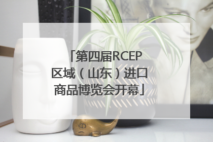 第四届RCEP区域（山东）进口商品博览会开幕