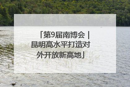 第9届南博会｜昆明高水平打造对外开放新高地