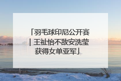 羽毛球印尼公开赛｜王祉怡不敌安洗莹 获得女单亚军