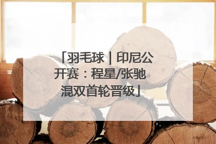 羽毛球｜印尼公开赛：程星/张驰混双首轮晋级
