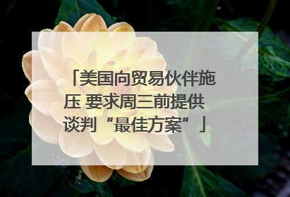 美国向贸易伙伴施压 要求周三前提供谈判“最佳方案”