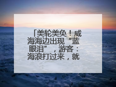 美轮美奂！威海海边出现“蓝眼泪”，游客：海浪打过来，就像星河一样