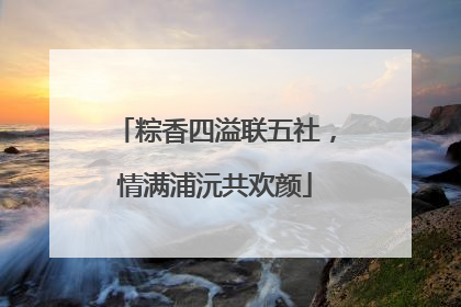 粽香四溢联五社，情满浦沅共欢颜