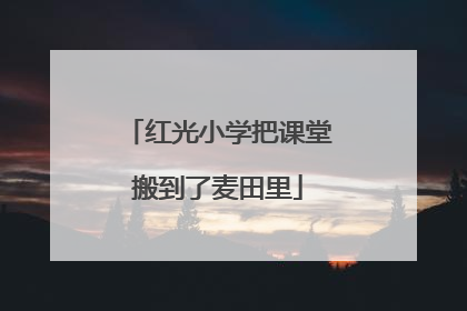 红光小学把课堂搬到了麦田里