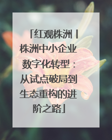 红观株洲丨株洲中小企业数字化转型：从试点破局到生态重构的进阶之路