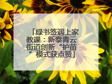 绿书签遇上家教课：新泰青云街道创新“护苗”模式获点赞