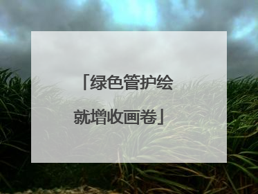 绿色管护绘就增收画卷