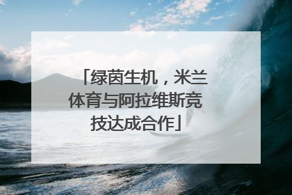绿茵生机，米兰体育与阿拉维斯竞技达成合作
