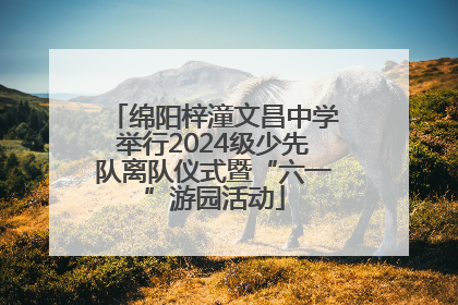 绵阳梓潼文昌中学举行2024级少先队离队仪式暨“六一”游园活动