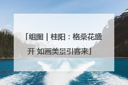 组图｜桂阳：格桑花盛开 如画美景引客来