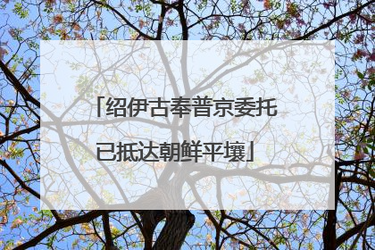 绍伊古奉普京委托已抵达朝鲜平壤