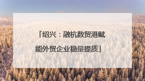 绍兴：融杭数贸港赋能外贸企业稳量提质