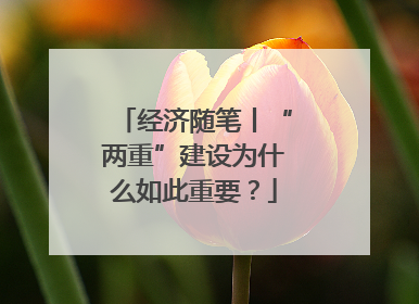 经济随笔丨“两重”建设为什么如此重要？