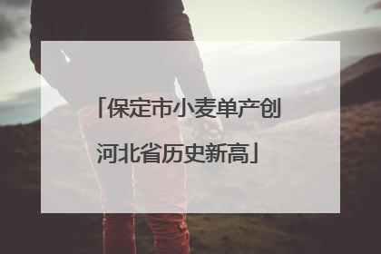 保定市小麦单产创河北省历史新高