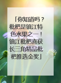 你知道吗？枇杷是镇江特色水果之一！镇江枇杷喜获长三角精品枇杷推选金奖