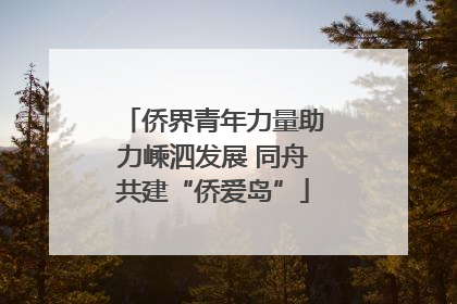 侨界青年力量助力嵊泗发展 同舟共建“侨爱岛”