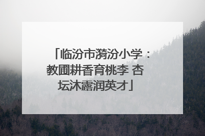 临汾市漪汾小学：教圃耕香育桃李 杏坛沐露润英才