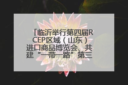 临沂举行第四届RCEP区域（山东）进口商品博览会、共建“一带一路”第三届临沂商城国际采购商大会新闻发布会