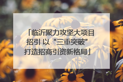 临沂聚力攻坚大项目招引 以“三重突破”打造招商引资新格局