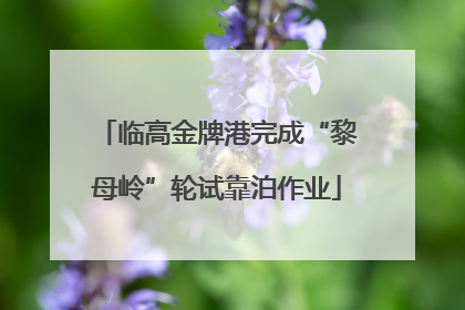 临高金牌港完成“黎母岭”轮试靠泊作业