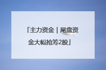 主力资金｜尾盘资金大幅抢筹2股