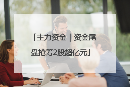 主力资金｜资金尾盘抢筹2股超亿元