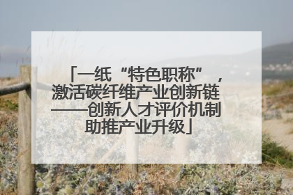 一纸“特色职称”，激活碳纤维产业创新链——创新人才评价机制 助推产业升级