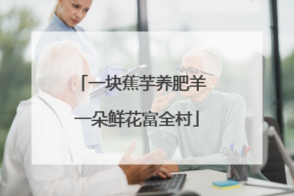 一块蕉芋养肥羊 一朵鲜花富全村