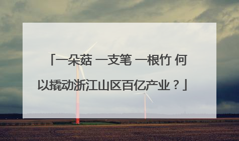 一朵菇 一支笔 一根竹 何以撬动浙江山区百亿产业？