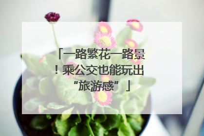 一路繁花一路景！乘公交也能玩出“旅游感”