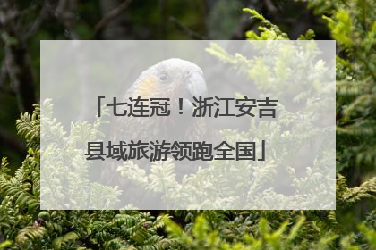 七连冠！浙江安吉县域旅游领跑全国