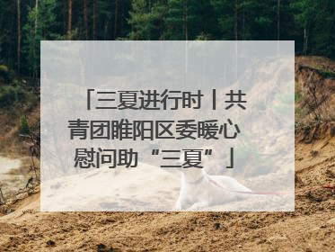 三夏进行时丨共青团睢阳区委暖心慰问助“三夏”