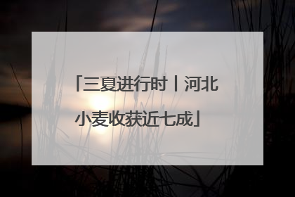 三夏进行时丨河北小麦收获近七成