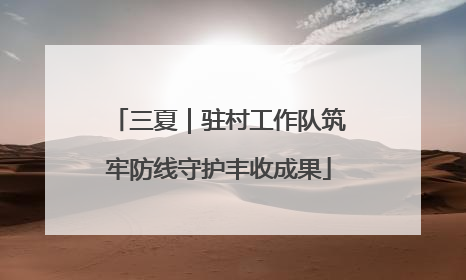 三夏｜驻村工作队筑牢防线守护丰收成果