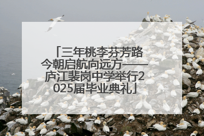 三年桃李芬芳路 今朝启航向远方——庐江裴岗中学举行2025届毕业典礼