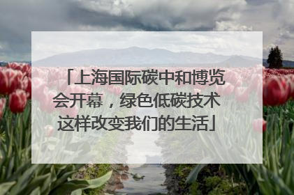 上海国际碳中和博览会开幕，绿色低碳技术这样改变我们的生活