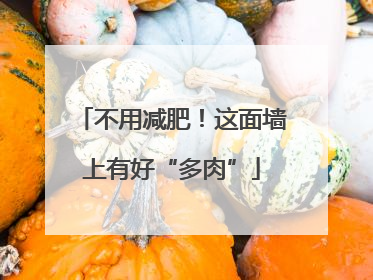 不用减肥！这面墙上有好“多肉”