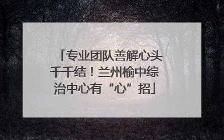 专业团队善解心头千千结！兰州榆中综治中心有“心”招