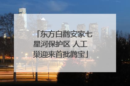 东方白鹳安家七星河保护区 人工巢迎来首批鹳宝