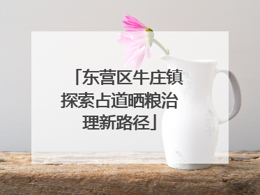 东营区牛庄镇探索占道晒粮治理新路径