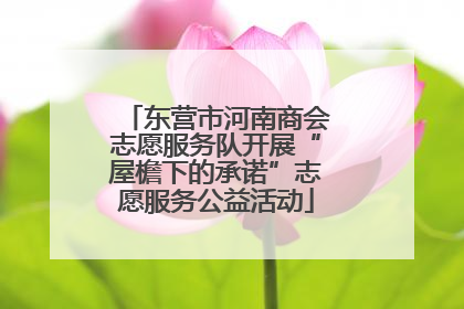 东营市河南商会志愿服务队开展“屋檐下的承诺”志愿服务公益活动