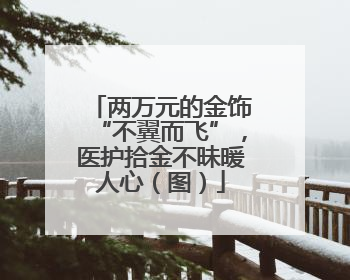 两万元的金饰“不翼而飞”，医护拾金不昧暖人心（图）
