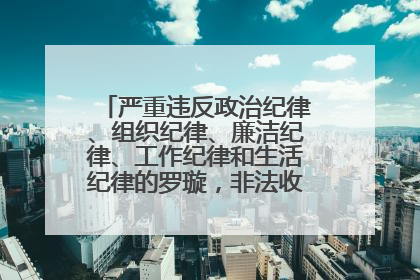 严重违反政治纪律、组织纪律、廉洁纪律、工作纪律和生活纪律的罗璇，非法收受他人巨额财物