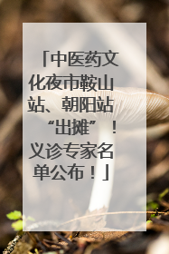 中医药文化夜市鞍山站、朝阳站“出摊”！义诊专家名单公布！